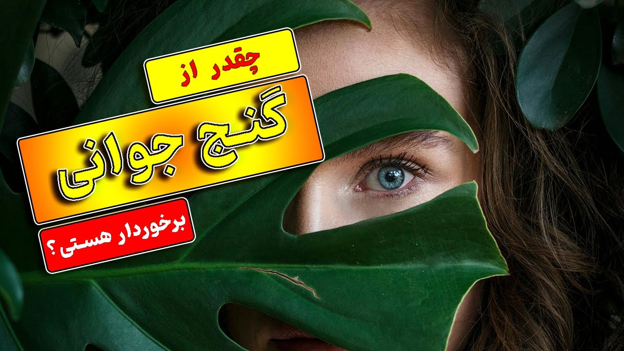 گنج جوانی؛ چه گنجی و چه رازی مهمتر از اینکه همیشه در زندگی جوان باشی؟ توسعه فردی با کلاس حکمی