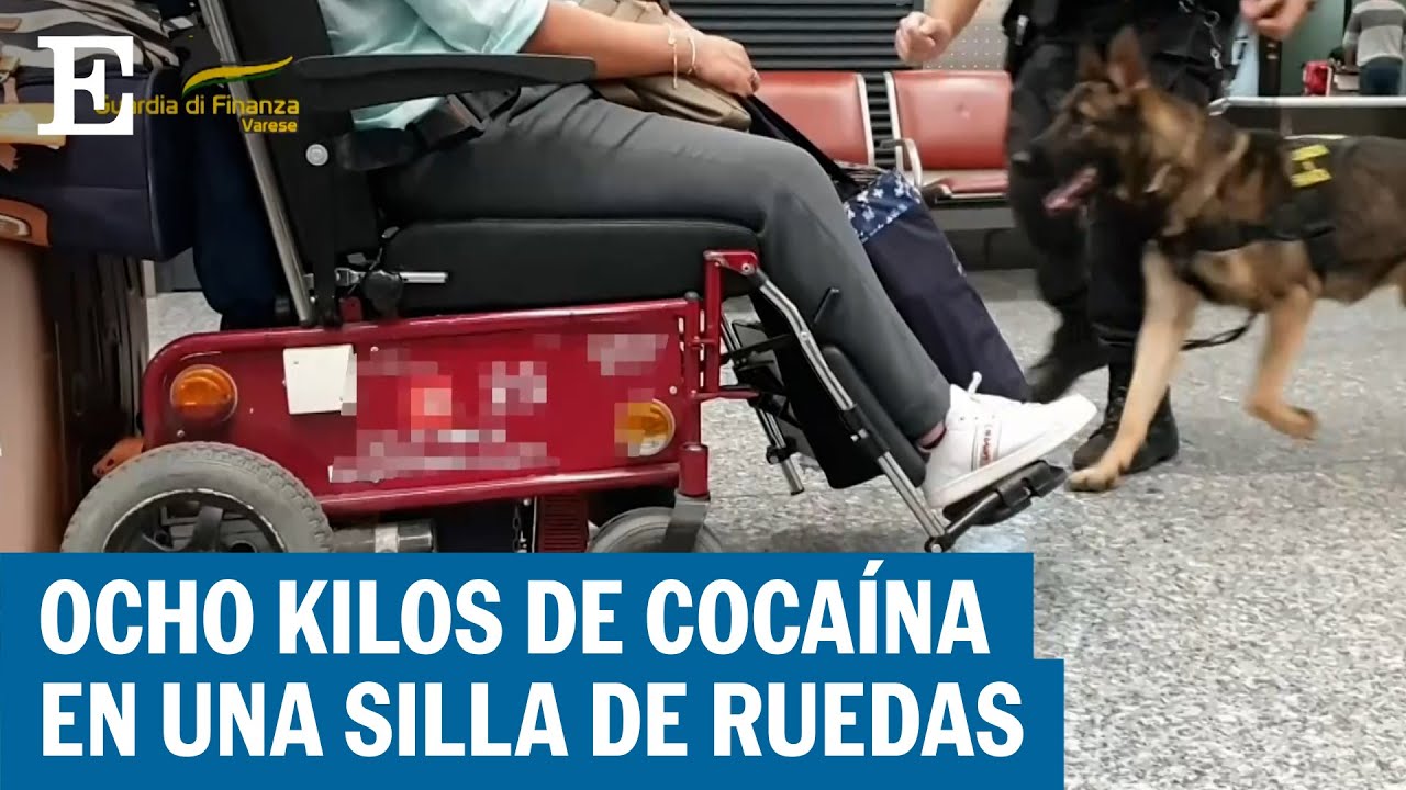 Un perro antidroga descubre a un pasajero en Milán que transportaba estupefacientes | EL PAÍS