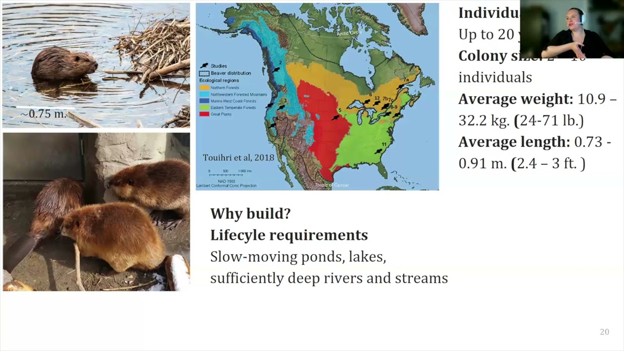Embracing Traditional Ecological Knowledge: Beavers to Buffalo