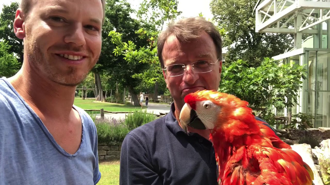 Artenschutz im Zoo Karlsruhe: Papageien