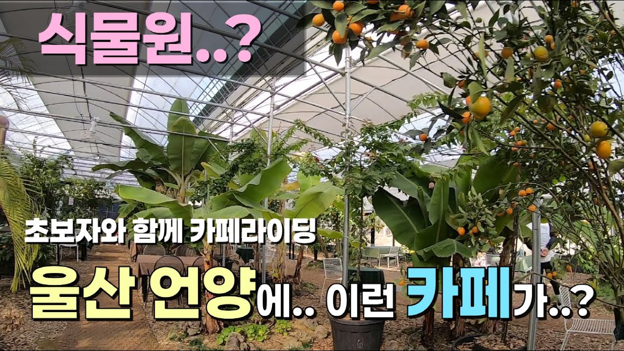 울산자덕 - 카페라이딩 (언양 작괘원림)