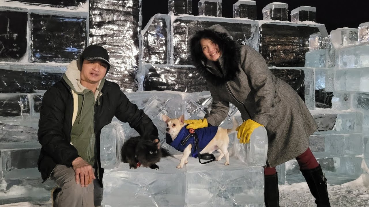 THE MAGIC OF WINTER TO SUMMER (2024-2025)