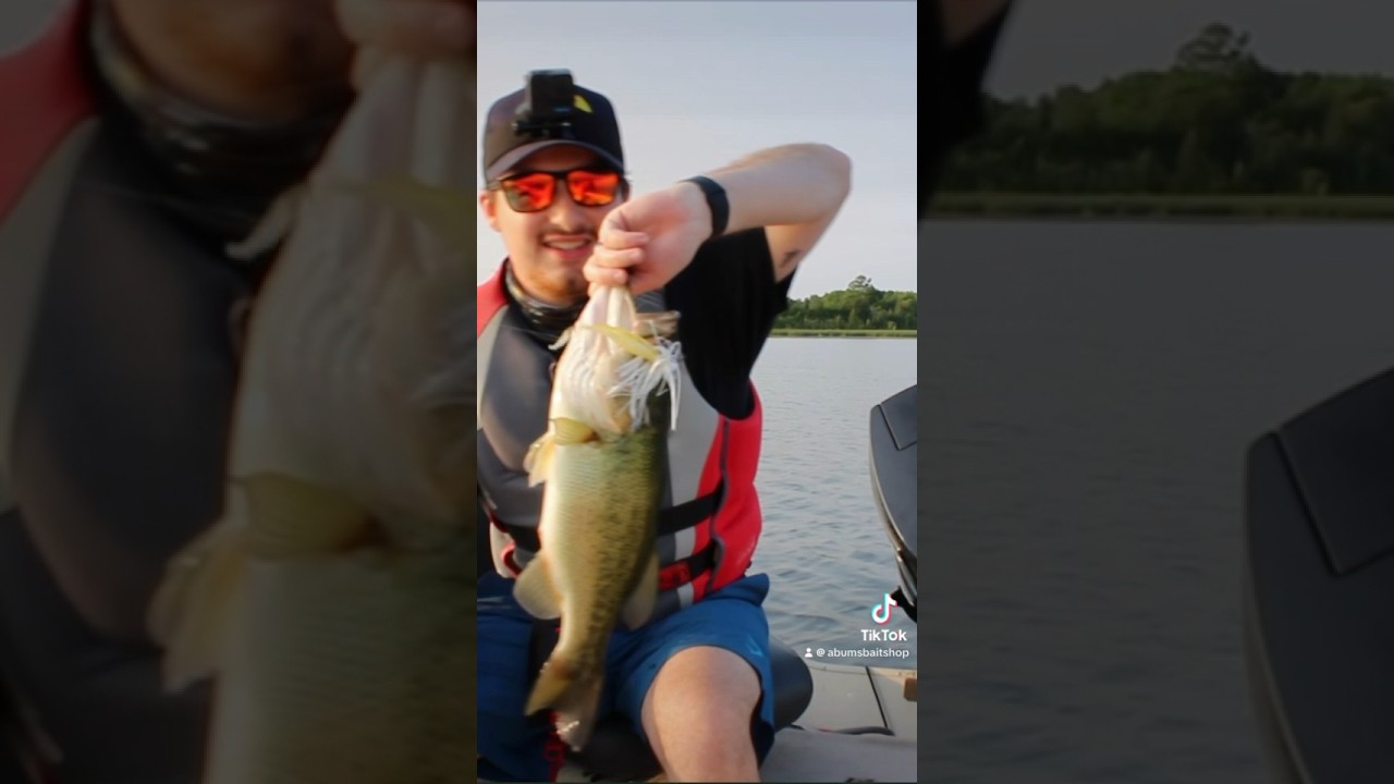 🚨New fishing Vlog out now!🚨 #abumsbaitshop #fishing #fishingcanada