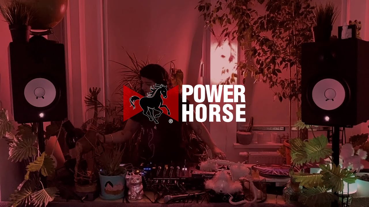 SHAMSA | Power Horse Stream Sessions | Germany