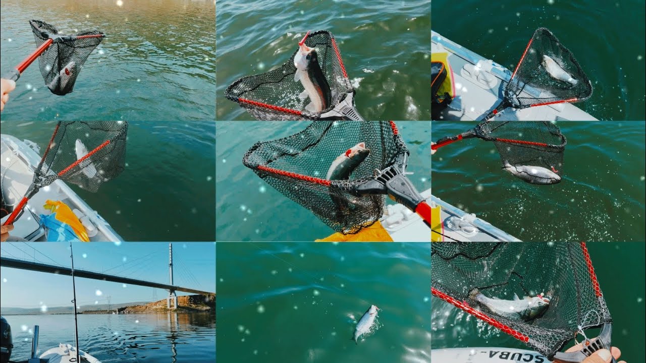 Bol Aksiyonlu İki Günlük Alabalık Avımız... #troutfishing #fishing #seastorm #tohatsu