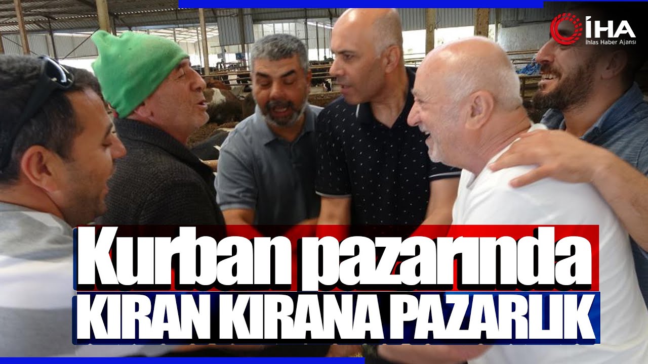 Kurbanlık Satışları Başladı, Kıran Kırana Pazarlık