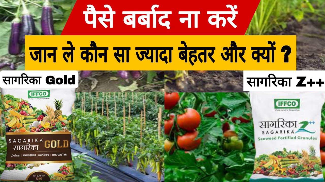 गलत प्रोडक्ट में पैसे बर्बाद ना करें । सही प्रोडक्ट का उपयोग कर बेहतर लाभ उठाएं ।
