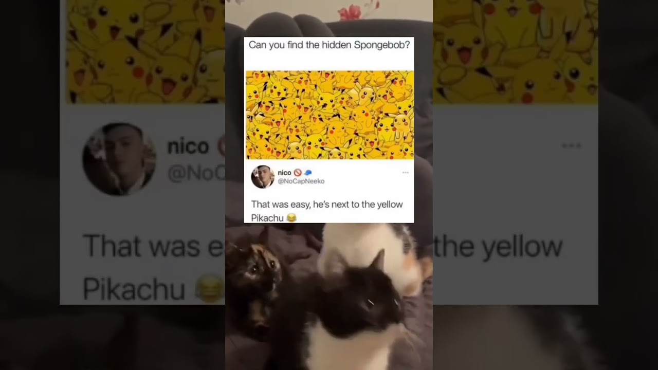 💀 Find the Hidden SpongeBob? | Next to the Yellow Pikachu 😂