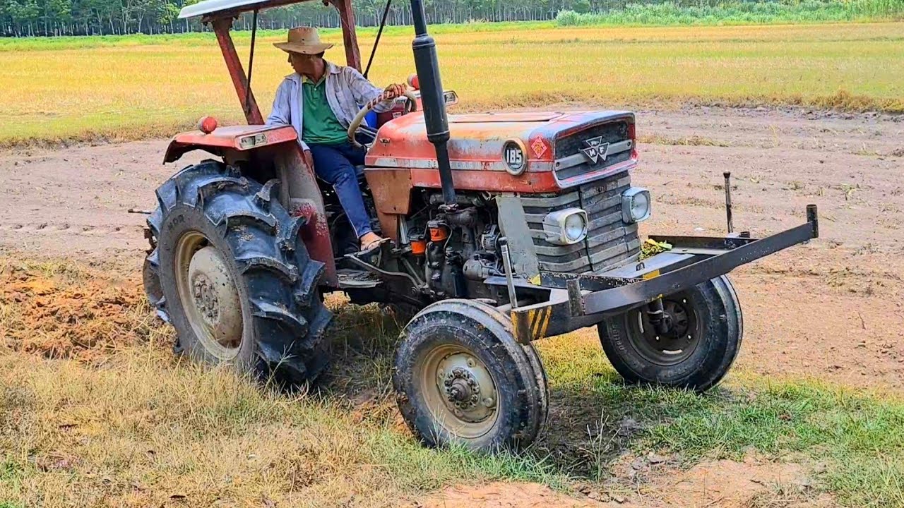 Máy Cày MF 185 Cày Đất Ruộng Siêu Đẹp Nhìn Đã Con Mắt