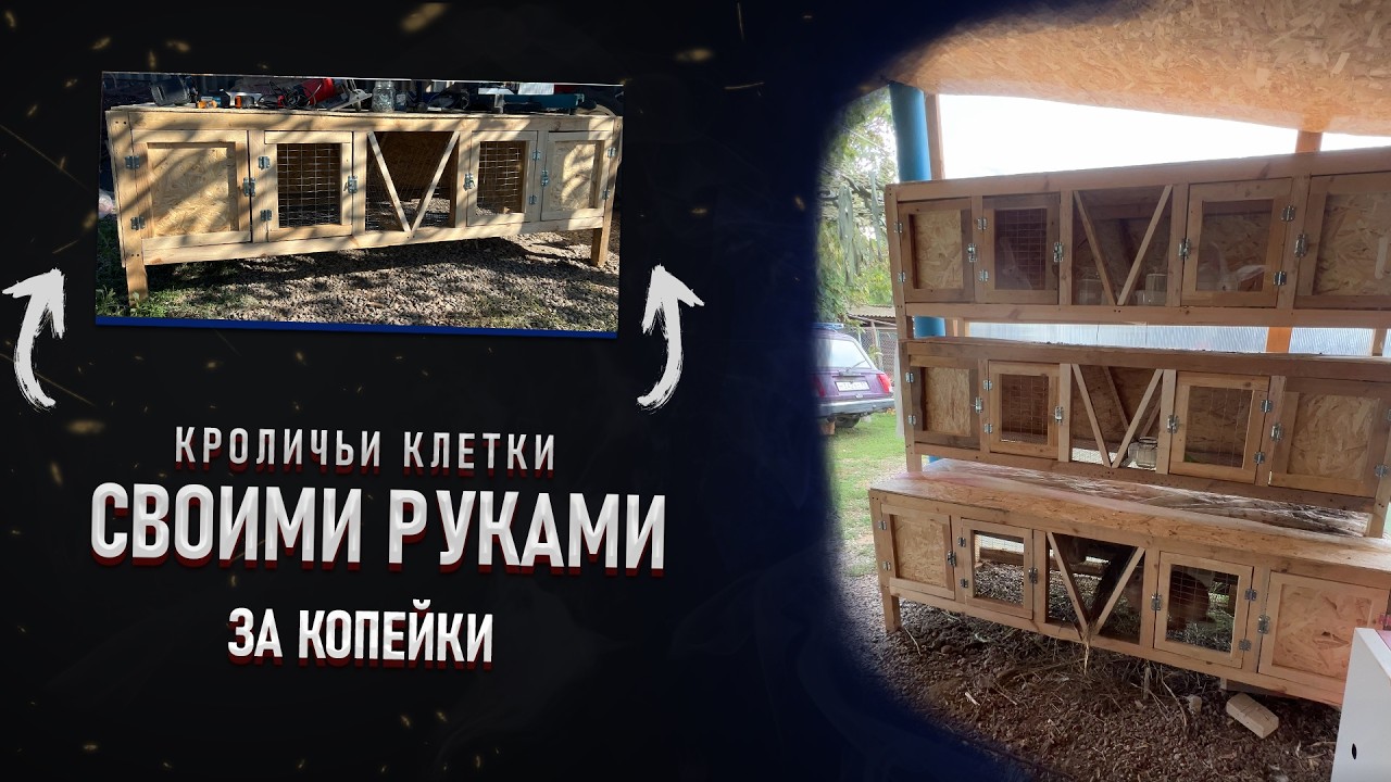 Кроличьи клетки своими руками за копейки