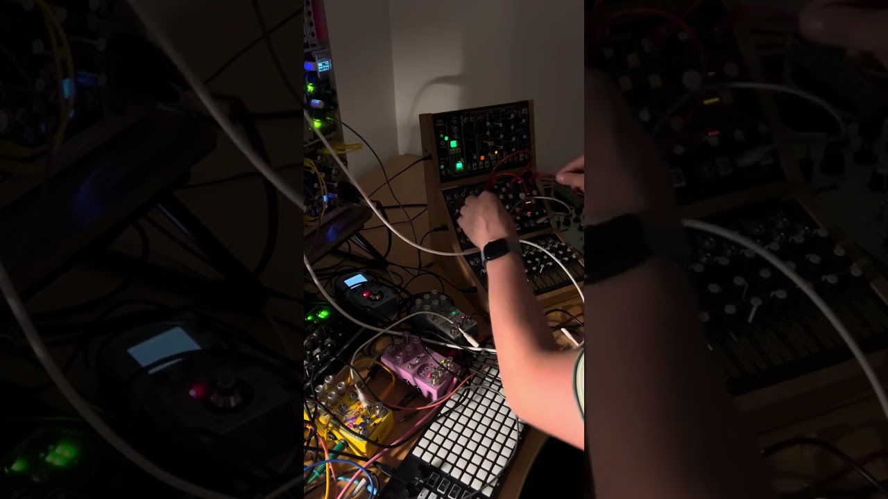 Make noise Strega and Chase Bliss Mood MKII jam