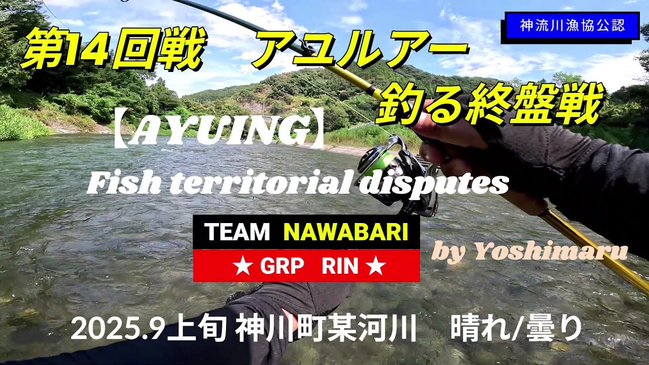 2025.9上旬　【アユルアー】　第14回戦　釣る終盤戦！　神川町某河川！