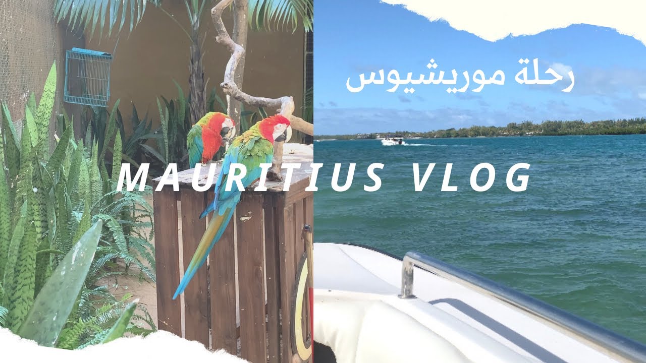 رحلة جزيرة موريشيوس . Mauritius vlog🇲🇺#2✈️