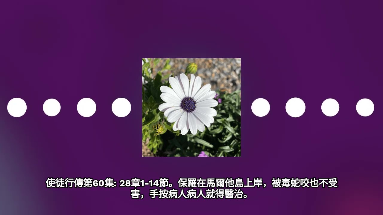 使徒行傳第60集: 28章1-14節。保羅在馬爾他島上岸，被毒蛇咬也不受害，手按病人病人就得醫治。 | 每天跟妮可一起讀聖經