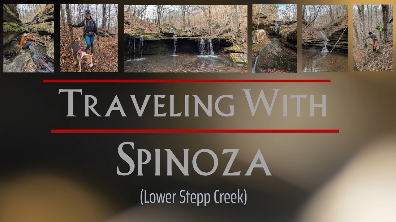 Lower Stepp Creek