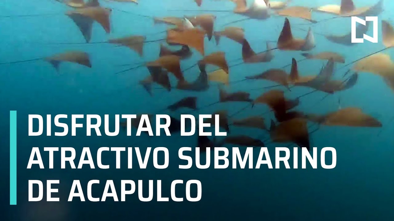 Playa Las Palmitas en Acapulco - Expreso de la Ma&ntilde;ana