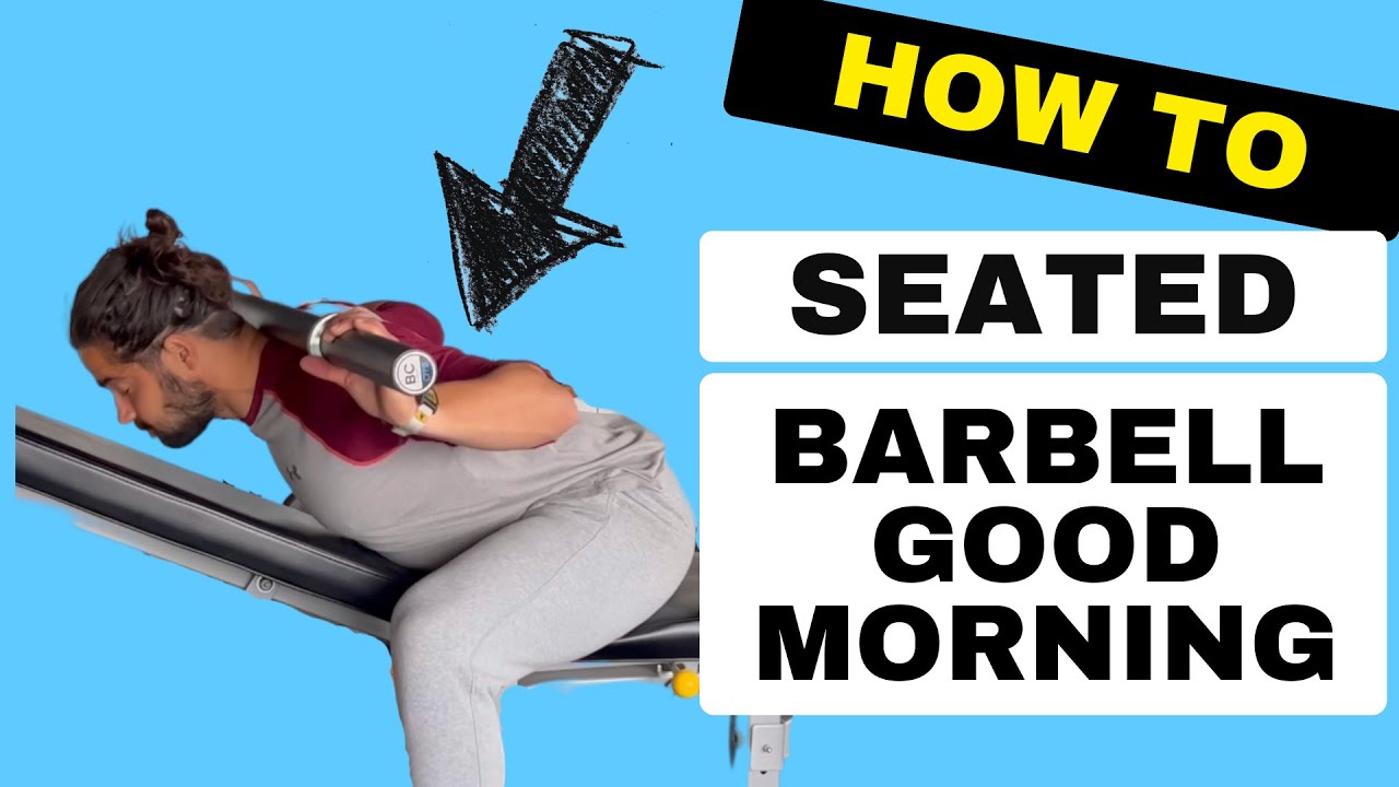 Seated Barbell Good Morning
