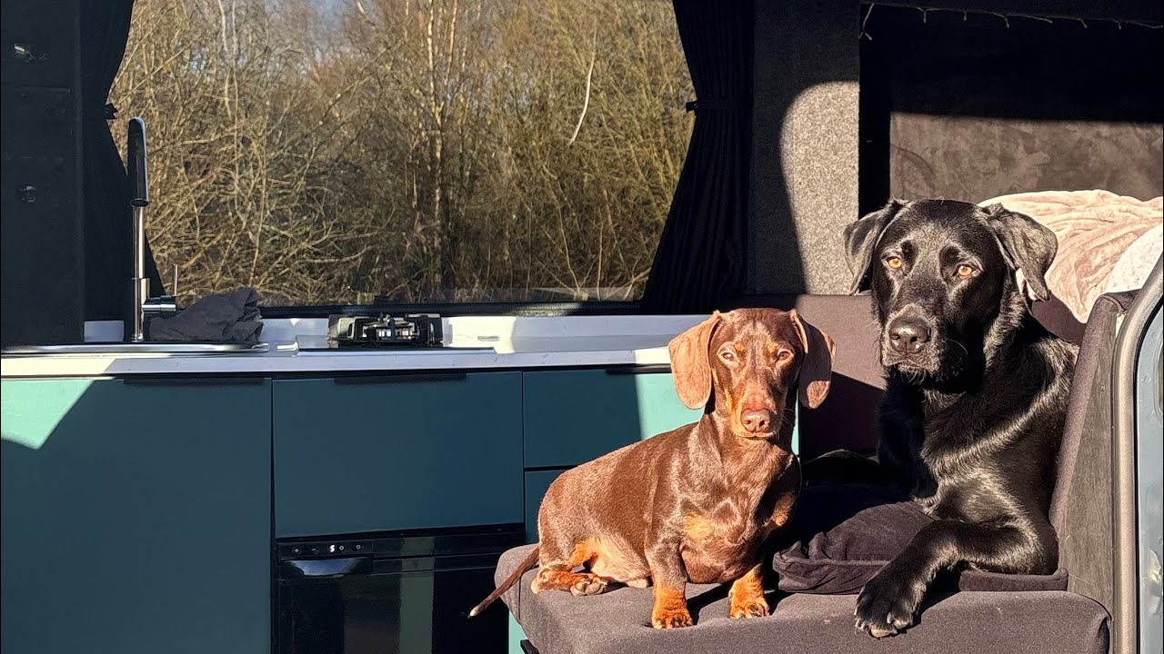 VAN LIFE BEGINS!! Northumberland weekend🚐