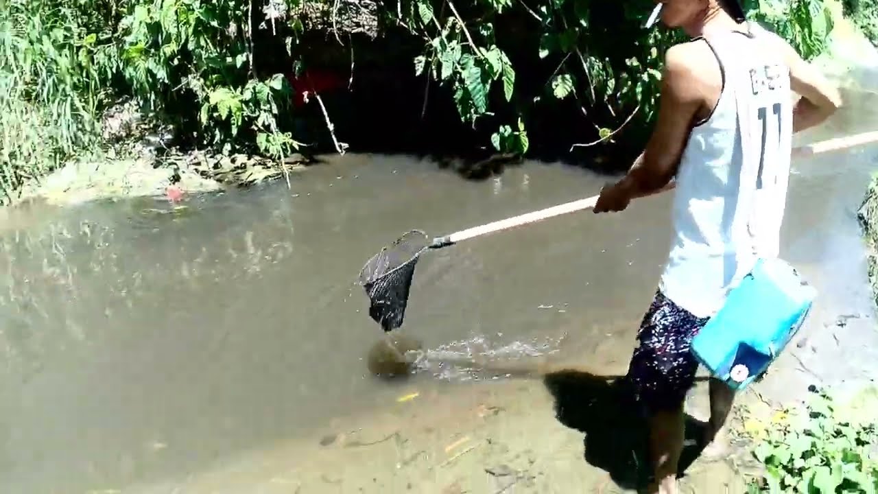 Ep327Electricfishing/Super dami ng hito at malalaki part2