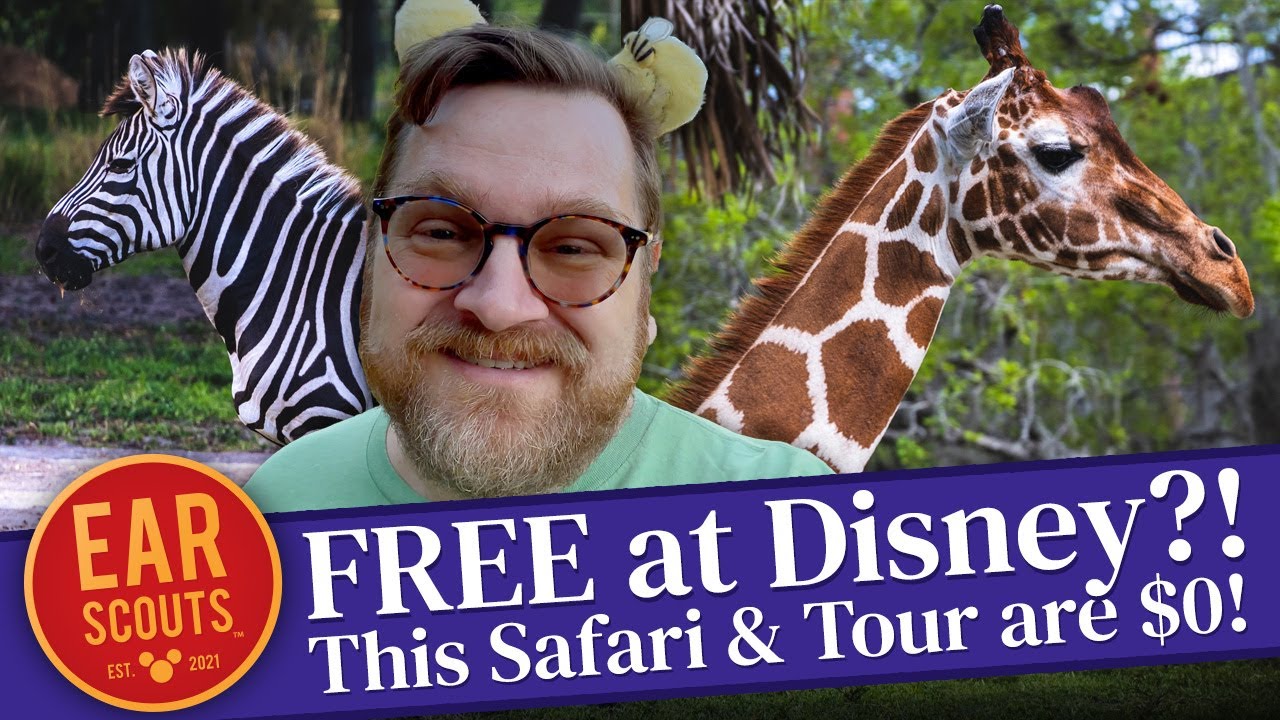 FREE at Disney World?! Go Wild at Animal Kingdom Lodge with a Free Safari, Tour & Fun Activities
