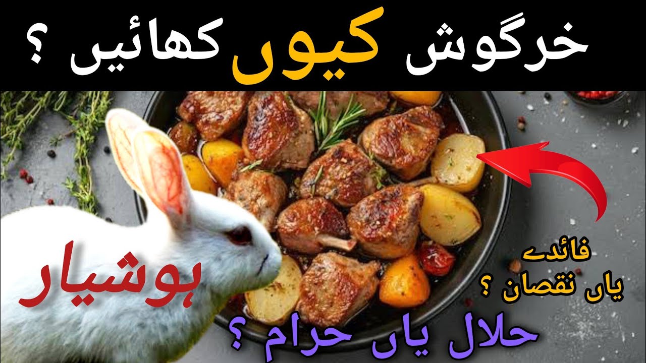 Benefits for rabbit meat|rabbit farming for meat khargosh khany k faide @Beautybasedaaina
