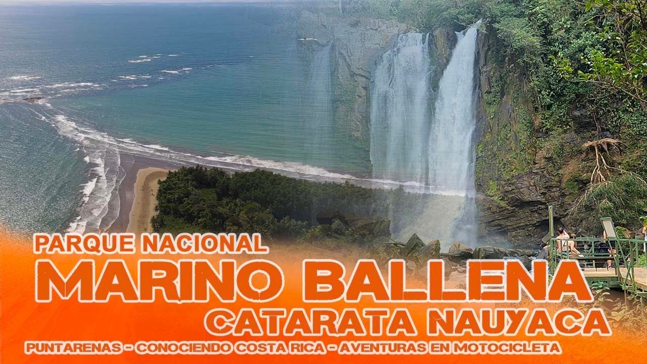Catarata NAUYACA y PARQUE NACIONAL MARINO BALLENA. Capítulo 40 – Conociendo Costa Rica