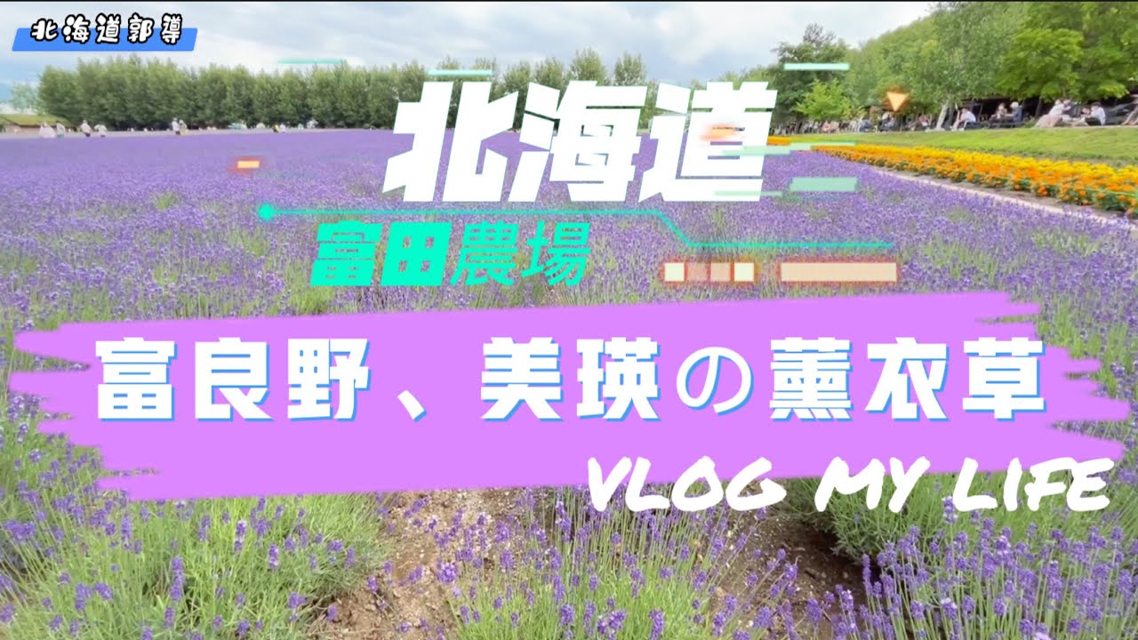 北海道富良野.美瑛薰衣草