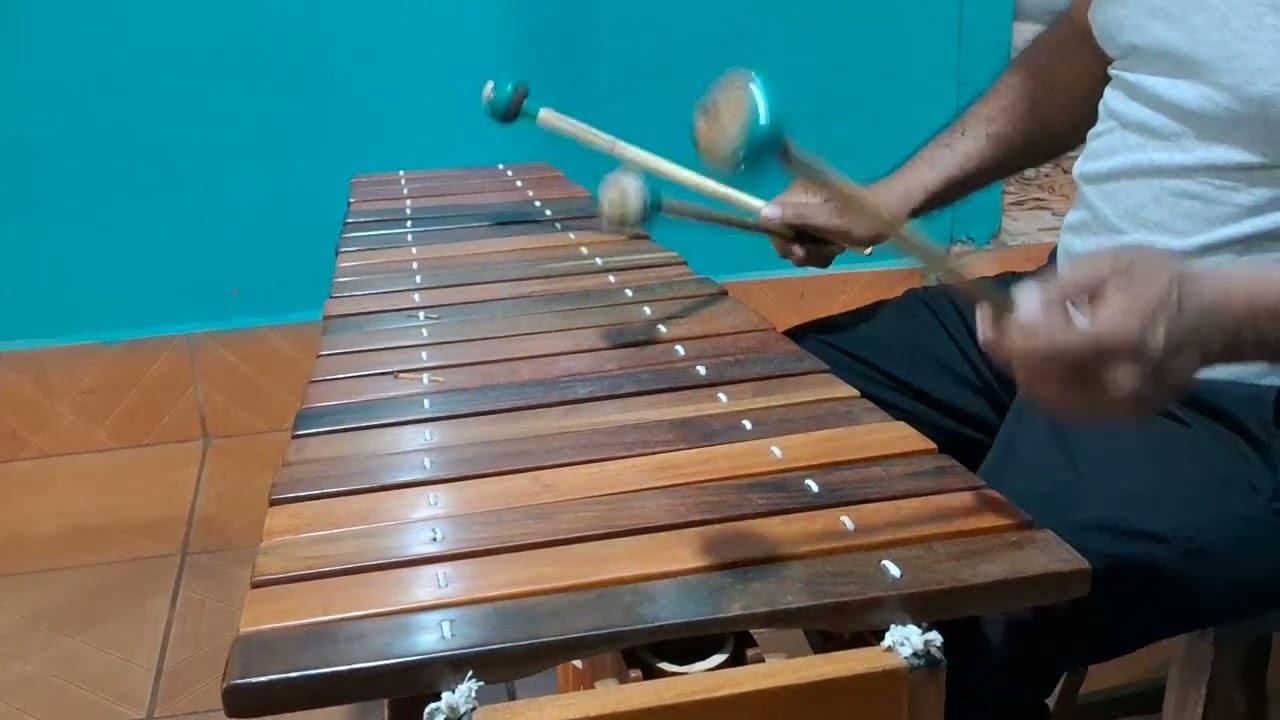 Son folclórico de marimba  La Culebrita