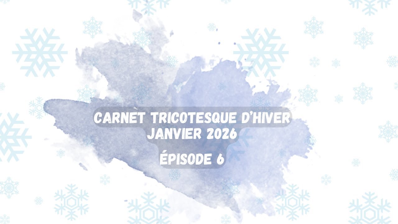 carnet tricotesque d'hiver E6 : #vlogtricot du 5 au 8 janvier 2026