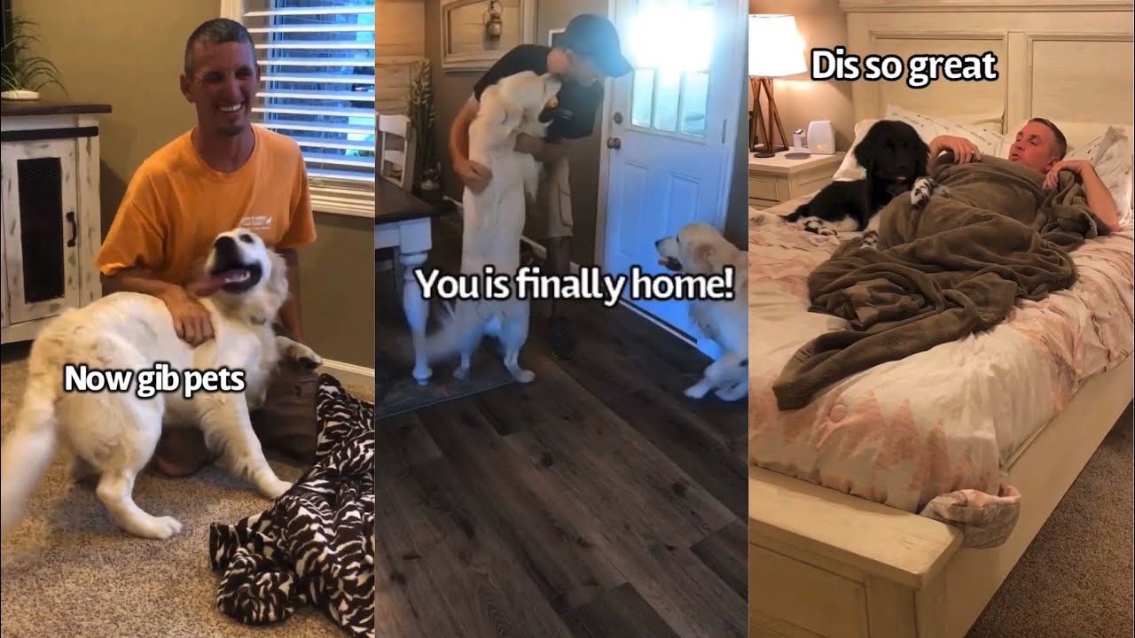 Dog Dads Are The Best Dads!