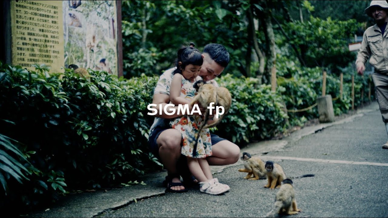 Beauty of Sigma fp CinemaDNG | Japan