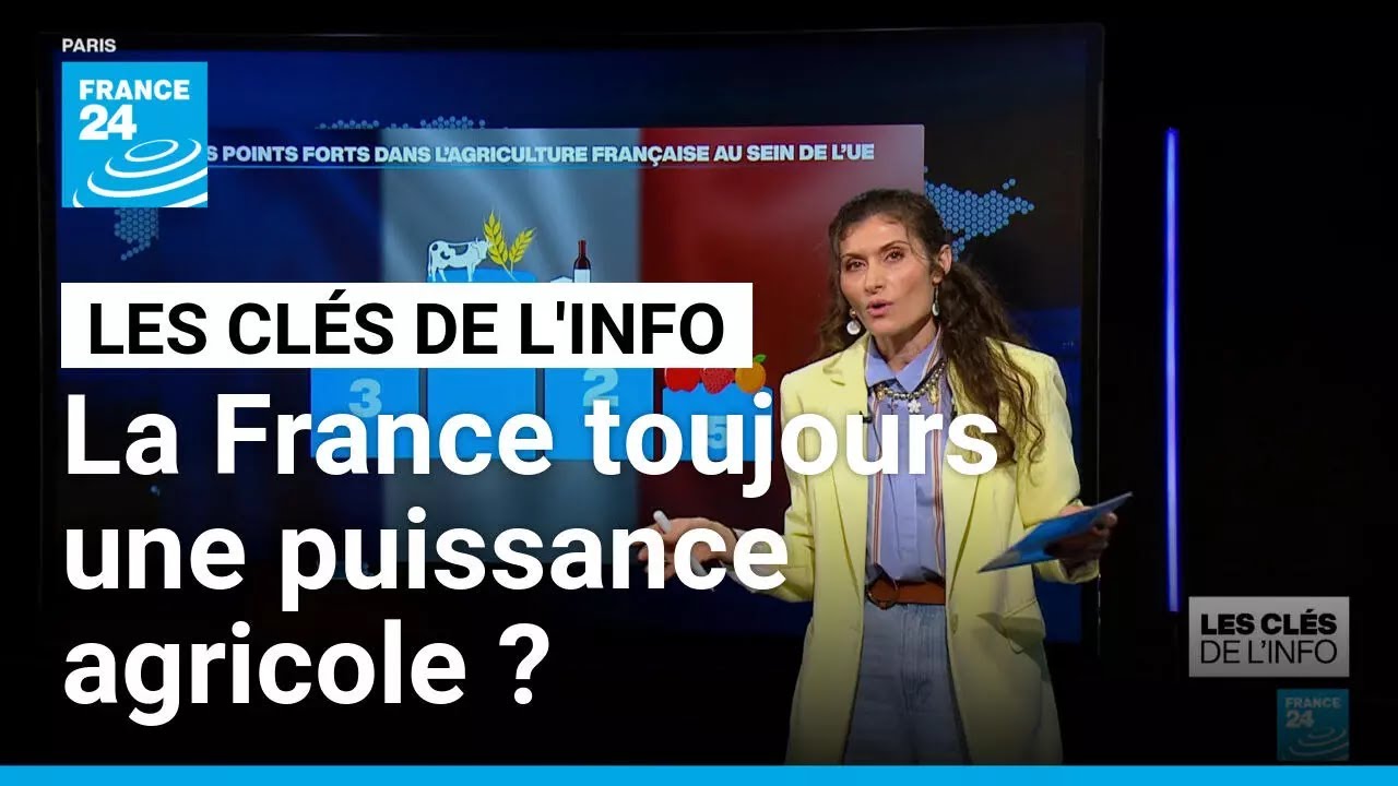 La France est-elle toujours une puissance agricole&nbsp;? &bull; FRANCE 24