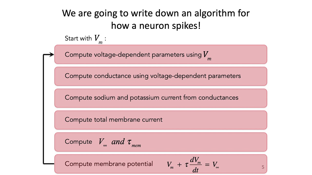 4: Hodgkin-Huxley Model Part 1 - Intro to Neural Computation