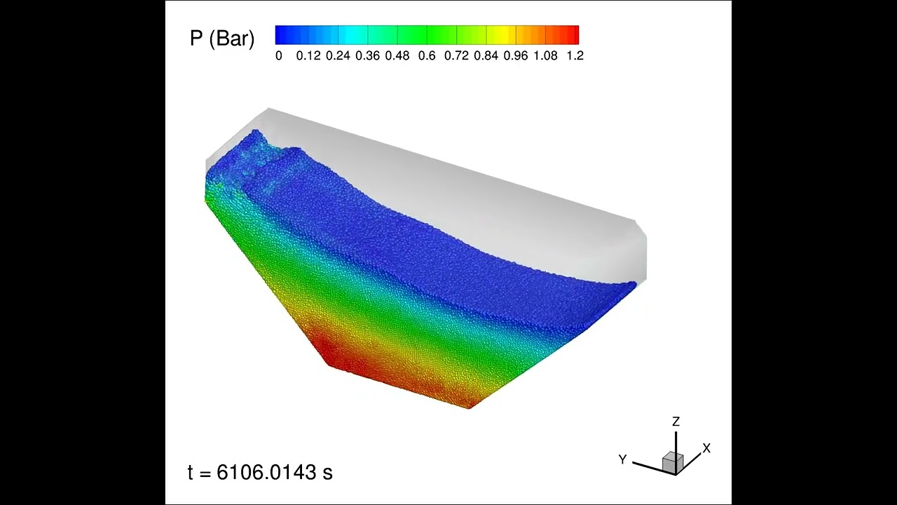 Sloshing flows in a LNG tank