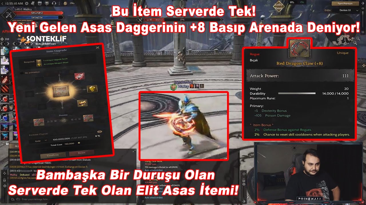 PoineMaia - Bu İtem Serverde Tek! Yeni Gelen Asas Daggerinin +8 Basıp Arenada Deniyor! | Rise Online