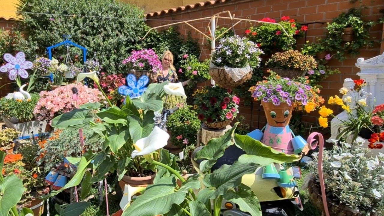 ENSEÑO COMO SEMBRAR EL BULBO DE CALA BLANCA, hablo sobre sus cuidados para su floración 🌹🦅🎶