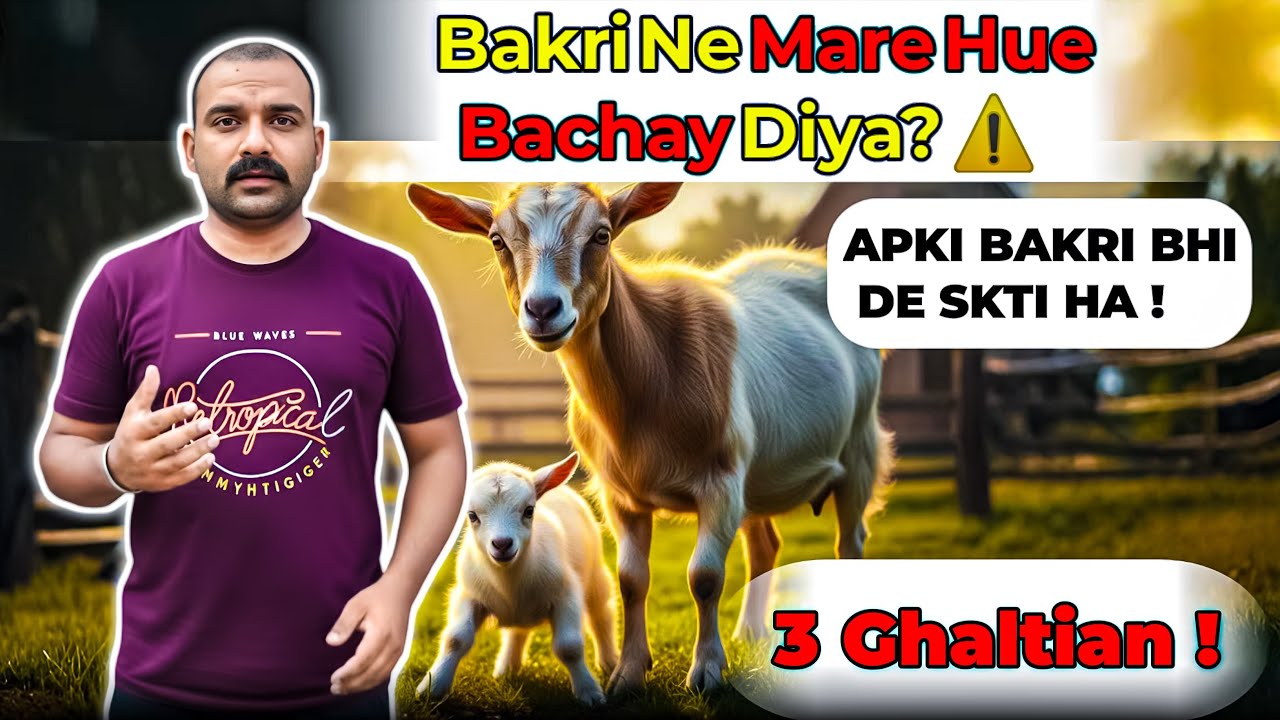 Bakri Bachay Gira Deti Hai? Ye 3 Galtiyan 90% Log Karte Hain!