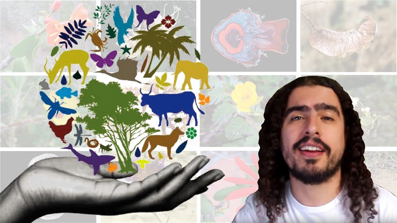 Biodiversidade 1 - Quantas s&atilde;o as esp&eacute;cies? (#Pirula 136.2)
