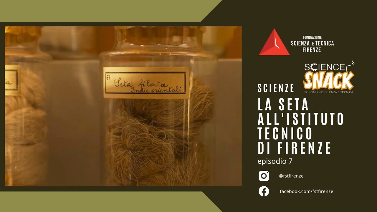La seta all'Istituto Tecnico di Firenze - Museo FST