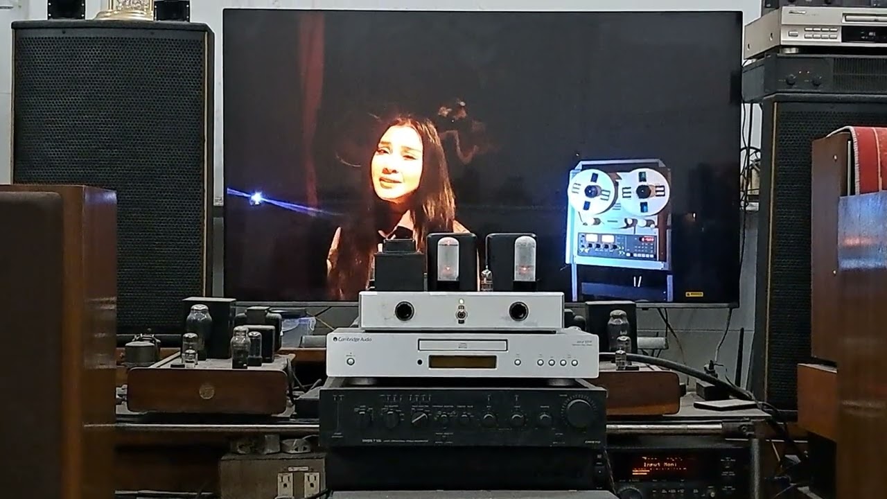 Amply tube 6L6 Se & Diatone full range speaker 