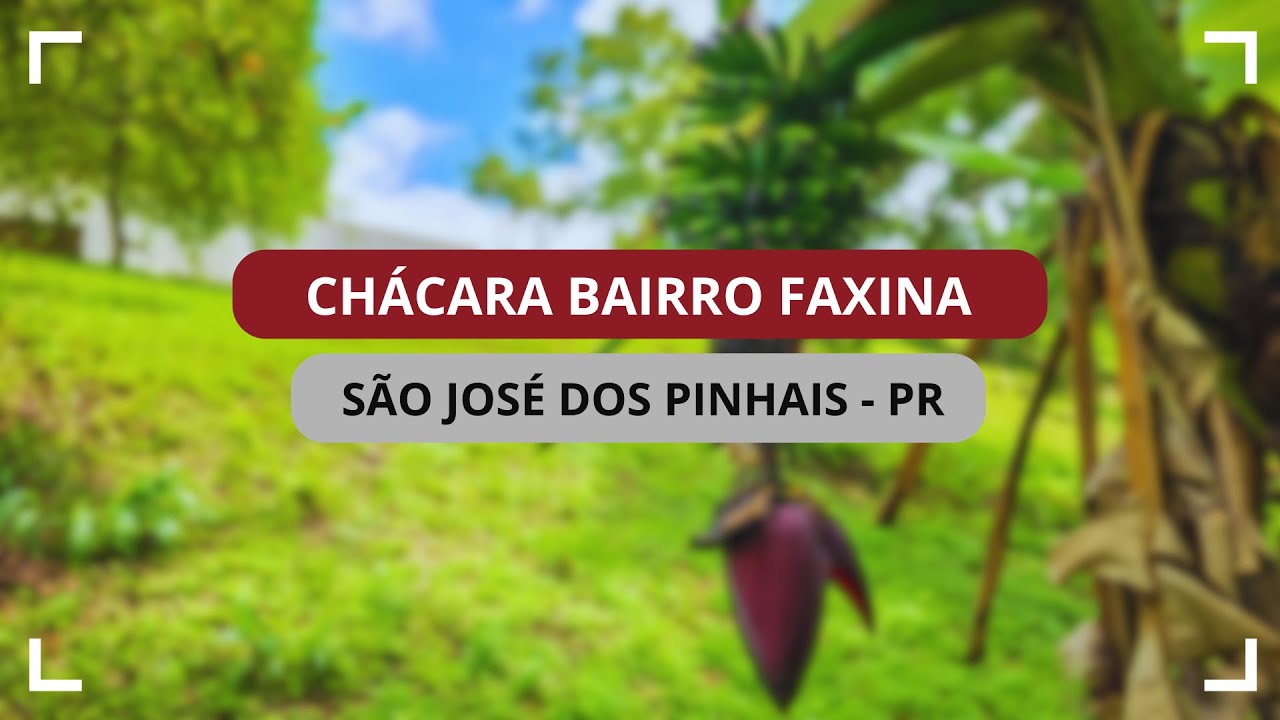 Chácara Faxina - São José dos Pinhais