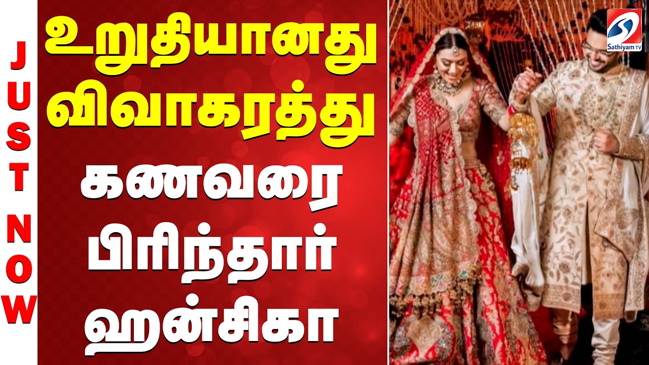 #breaking | Hansika Motwani Divorce | உறுதியானது விவாகரத்து - கணவரை பிரிந்தார் ஹன்சிகா