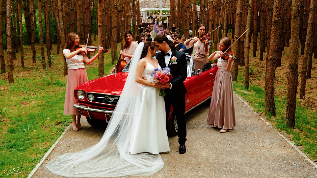 Weronika & Piotr | Forest | Wedding Teaser