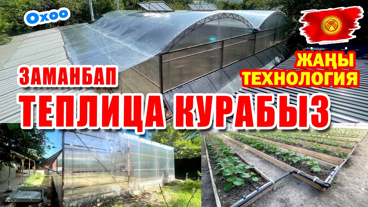 Видеону сѳзсүз кѳр! Заманбап КҮНѲСКАНА жасайм ~ сапаттуу, жылуу. ГАРАНТИЯ бар