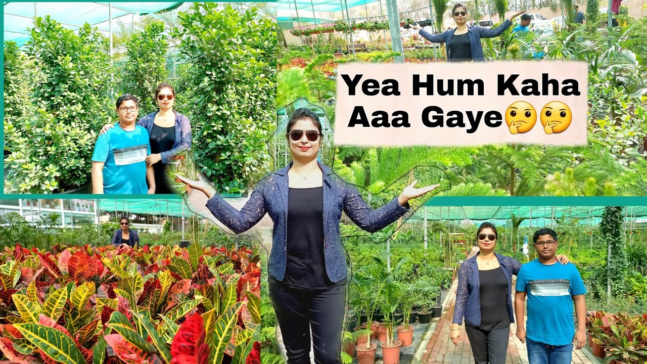 Desert Nursery Qatar Full Video in Hindi |Place to Visit in Qatar