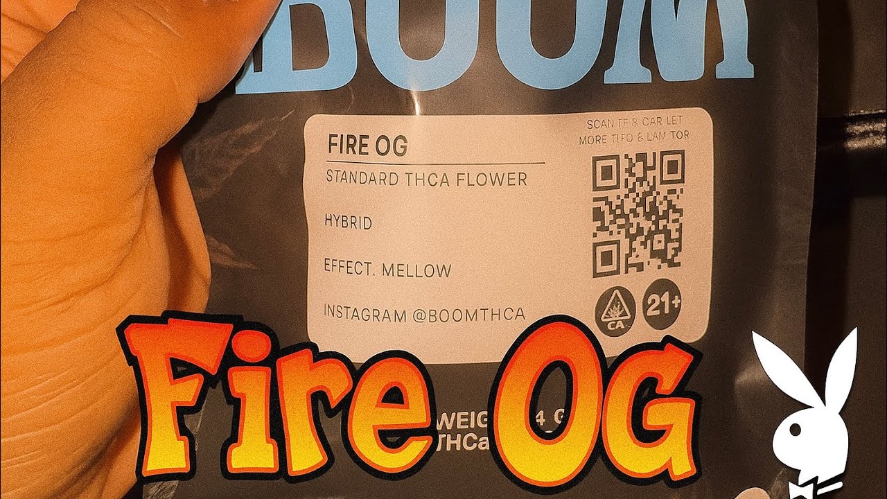 This BOOM THCA FIRE OG Is STRAIGHT GAS 💨🔥 (Strongest OG Yet?!)
