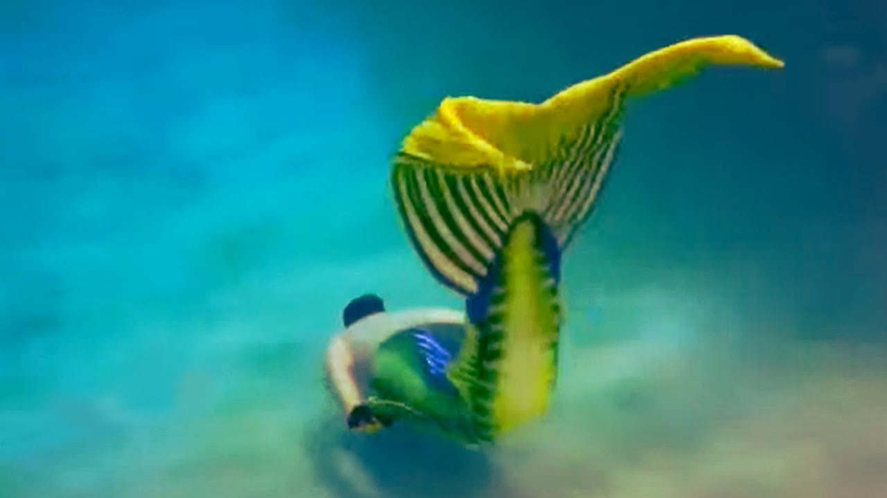 Mermay Swimming 2025!