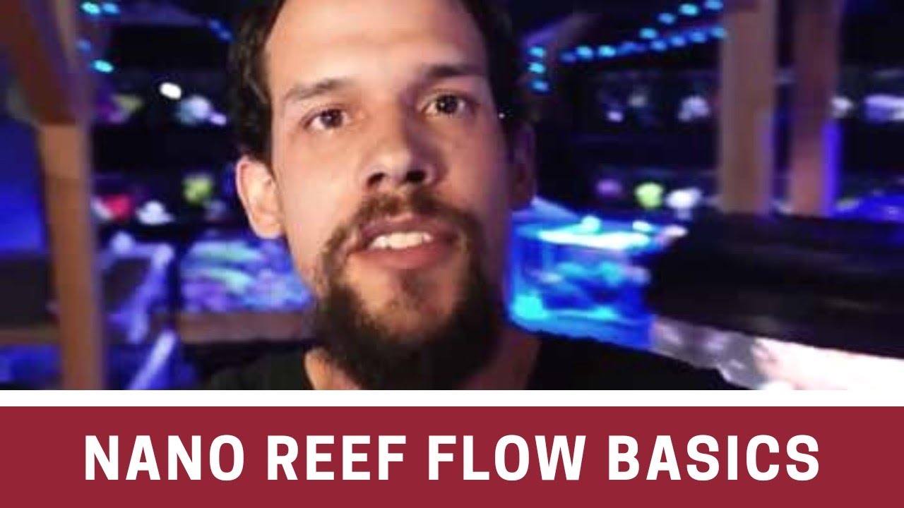 Nano Reef Flow Basics
