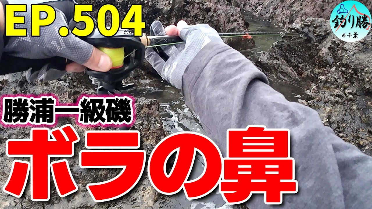 EP.504 勝浦穴釣り 勝浦磯場「ボラの鼻」で大型根魚調査釣行
