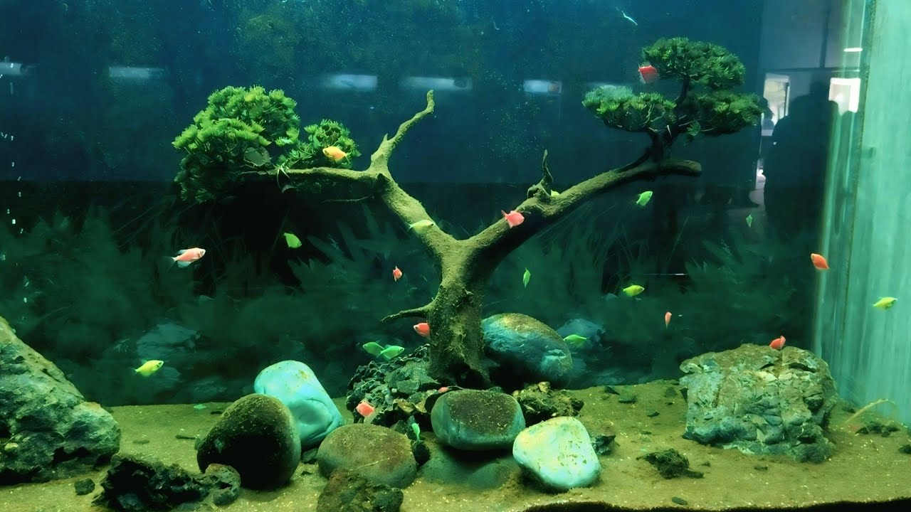 Aquarium Me Fish Dekhne Aagye 🐠🐟😍🤗